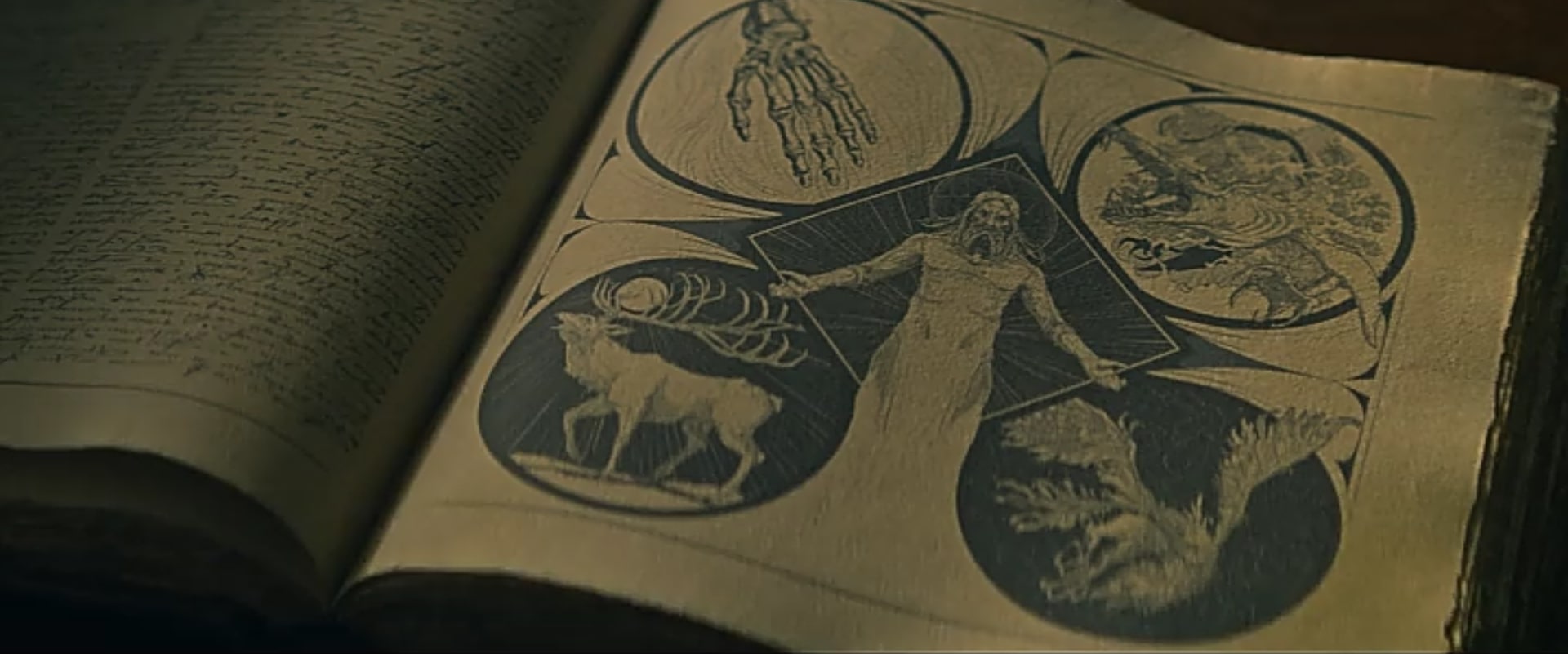 What Are the Amplifiers in Shadow and Bone?