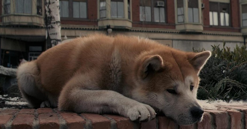 hachi a dogs tale death