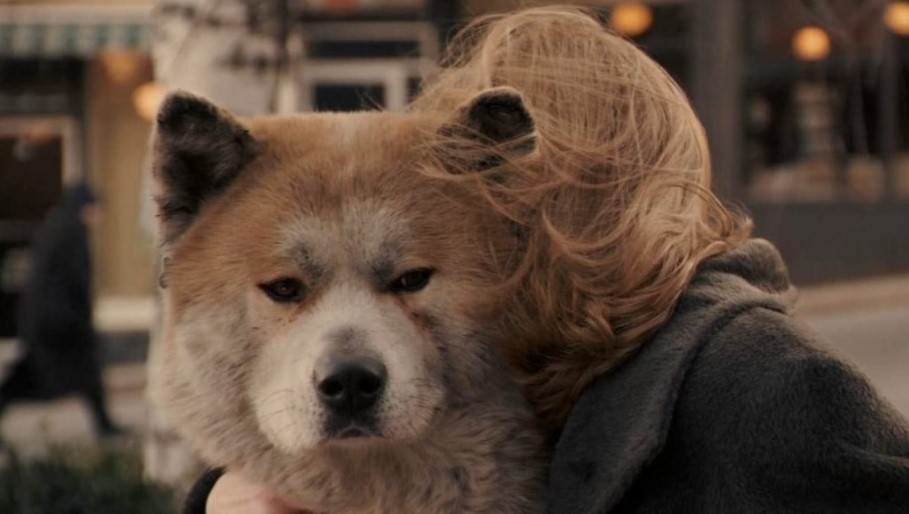 movie review hachi a dog's tale