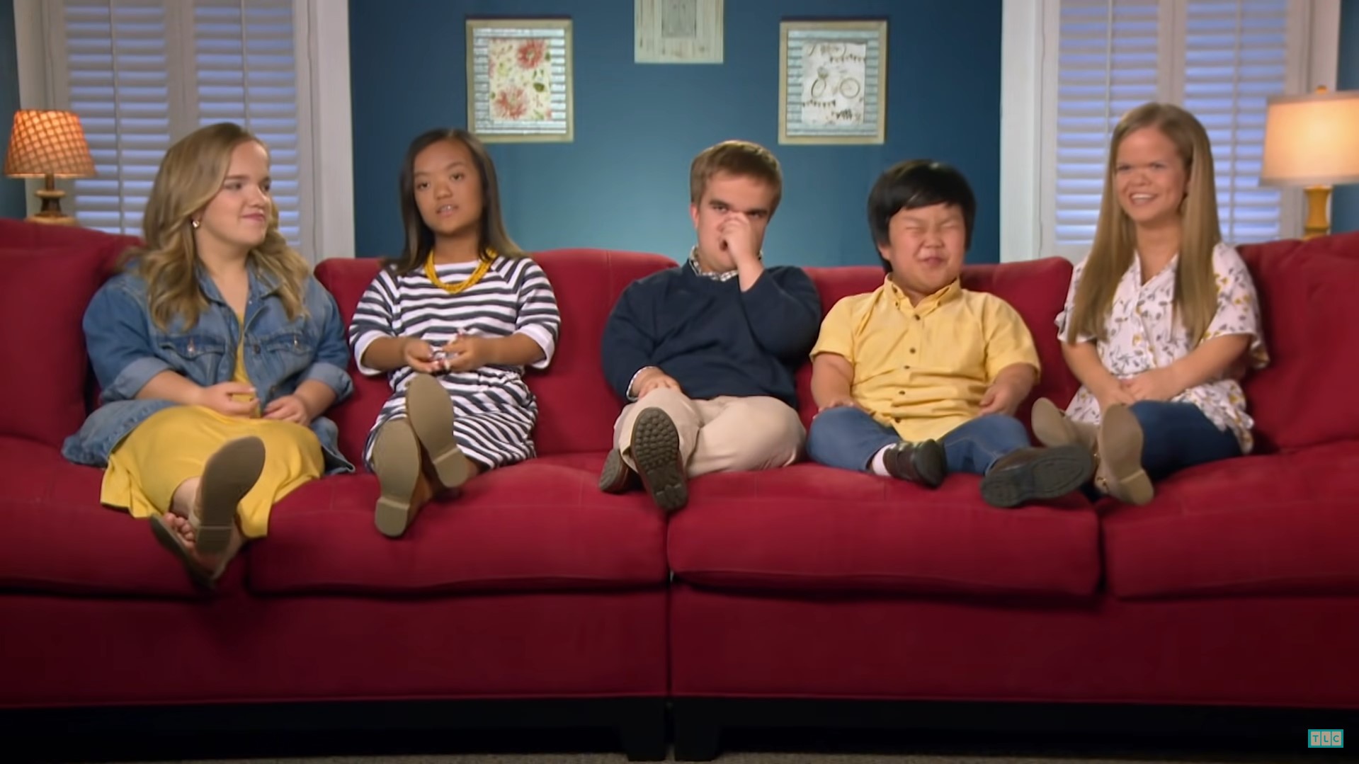 Is 7 Little Johnstons Scripted? Is Is 7 Little Johnstons Real or Fake?