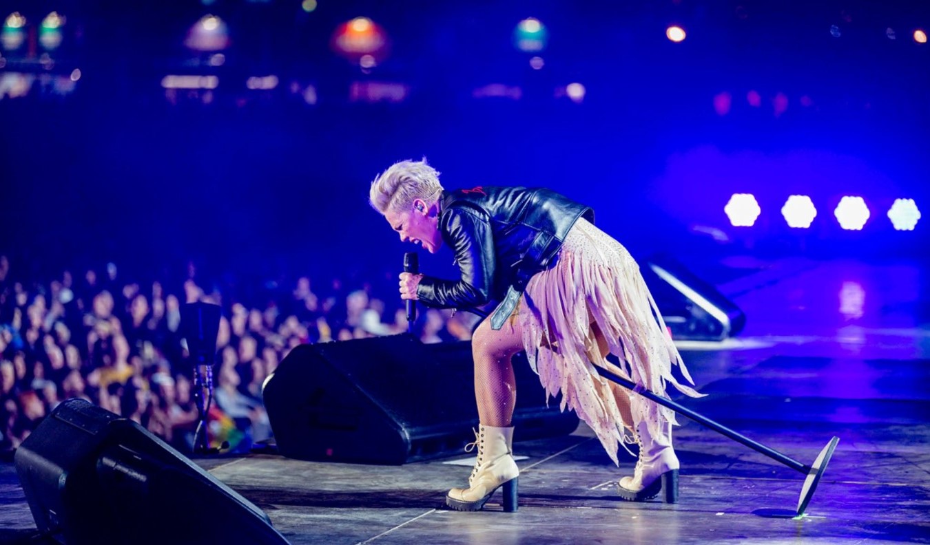 Is Pink Documentary on Netflix, Hulu, Prime? Where to Watch Pink All I