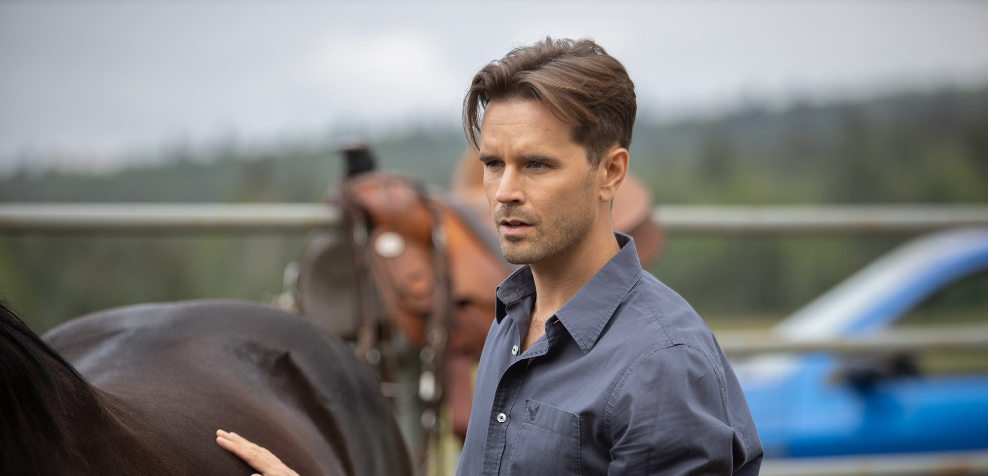 How Did Ty Die in Heartland? Why Did Graham Wardle Leave Heartland? Where is He Now?