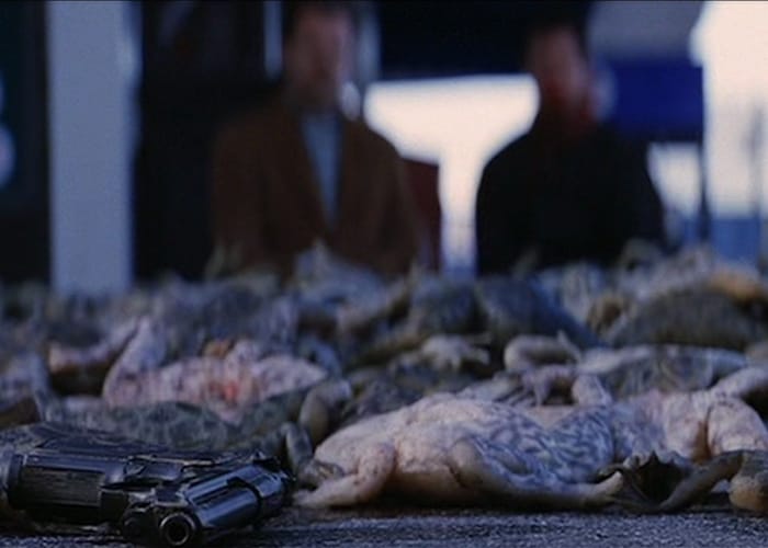 Magnolia Ending, Explained What Do the Frogs Mean at the End?