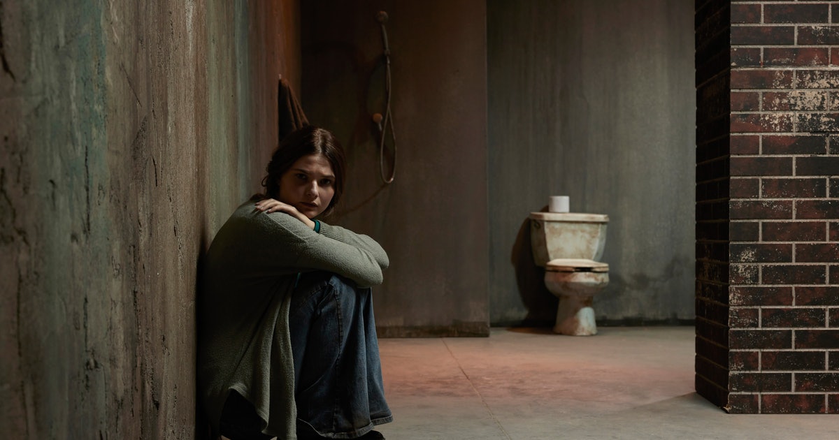 Movie Where Father Locks Daughter In Basement Is Girl in the Basement a True Story? Is the Lifetime Movie Based on