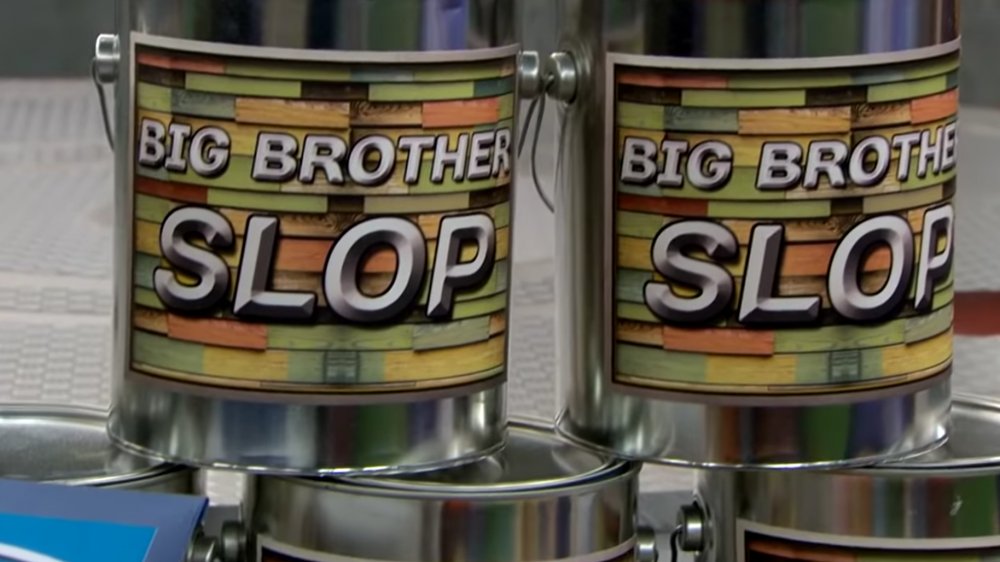 What Is Big Brother Slop