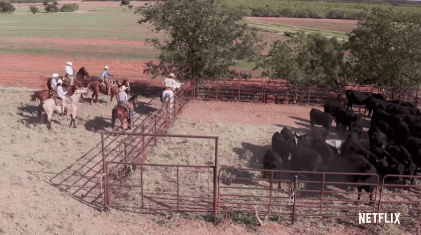 Blake Monteleone Radiator Ranch Where is Radiator Ranch Located? Where is How to Be a Cowboy Filmed?