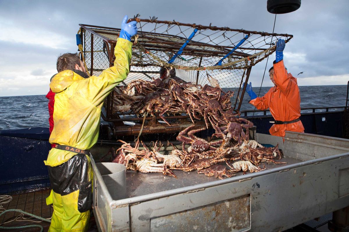 how-much-do-deckhands-make-on-deadliest-catch-daily-news