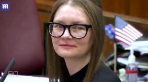 How Much Money Did Anna Delvey Steal? What is Anna Sorokin's Net Worth?