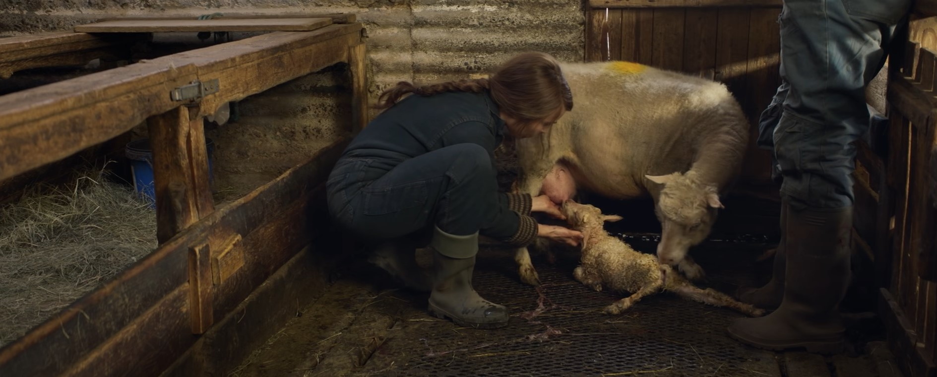 Is Lamb a True Story? Is the 2021 Horror Movie Based on Real Life?