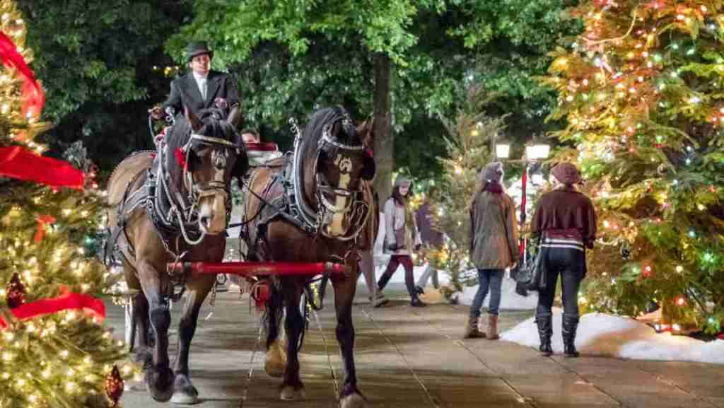 Where Was A Bramble House Christmas Filmed? Hallmark Cast Details