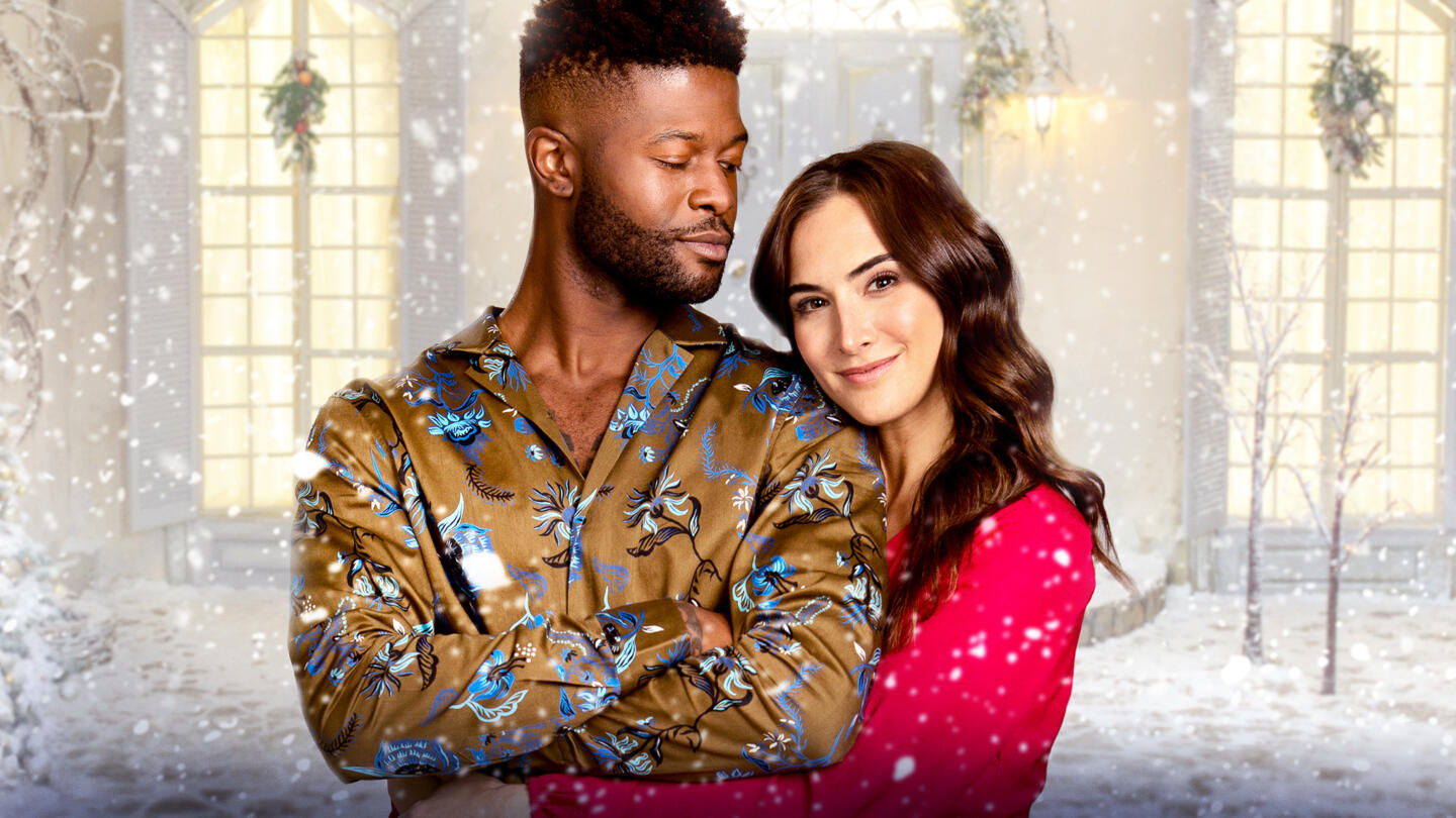 Where Was Welcome to the Christmas Family Reunion Filmed? Lifetime Cast