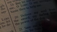 The Power Of The Dog Title Meaning Bible Verse Explained