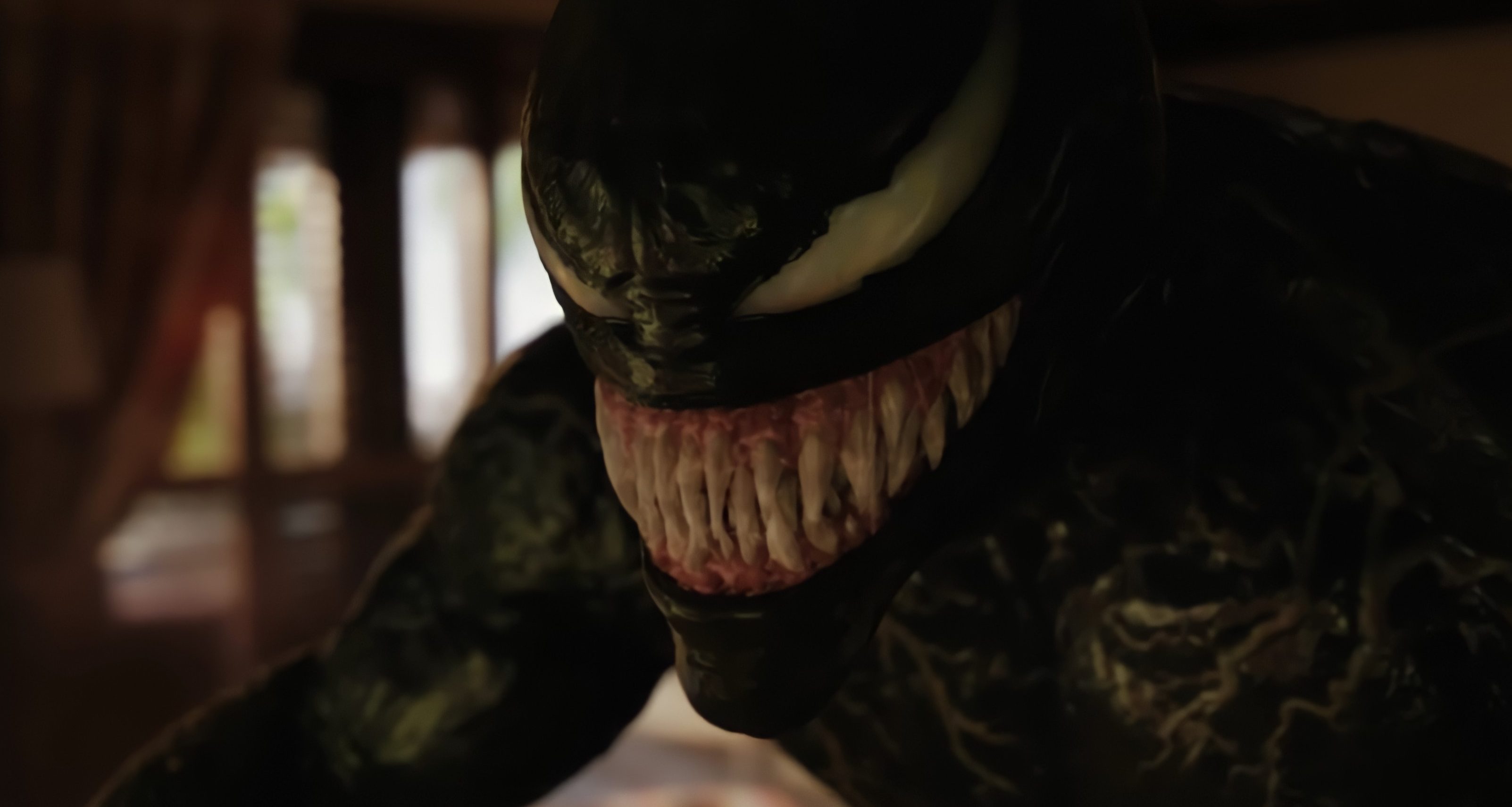Is Venom in Spider Man: No Way Home? [Spoiler]
