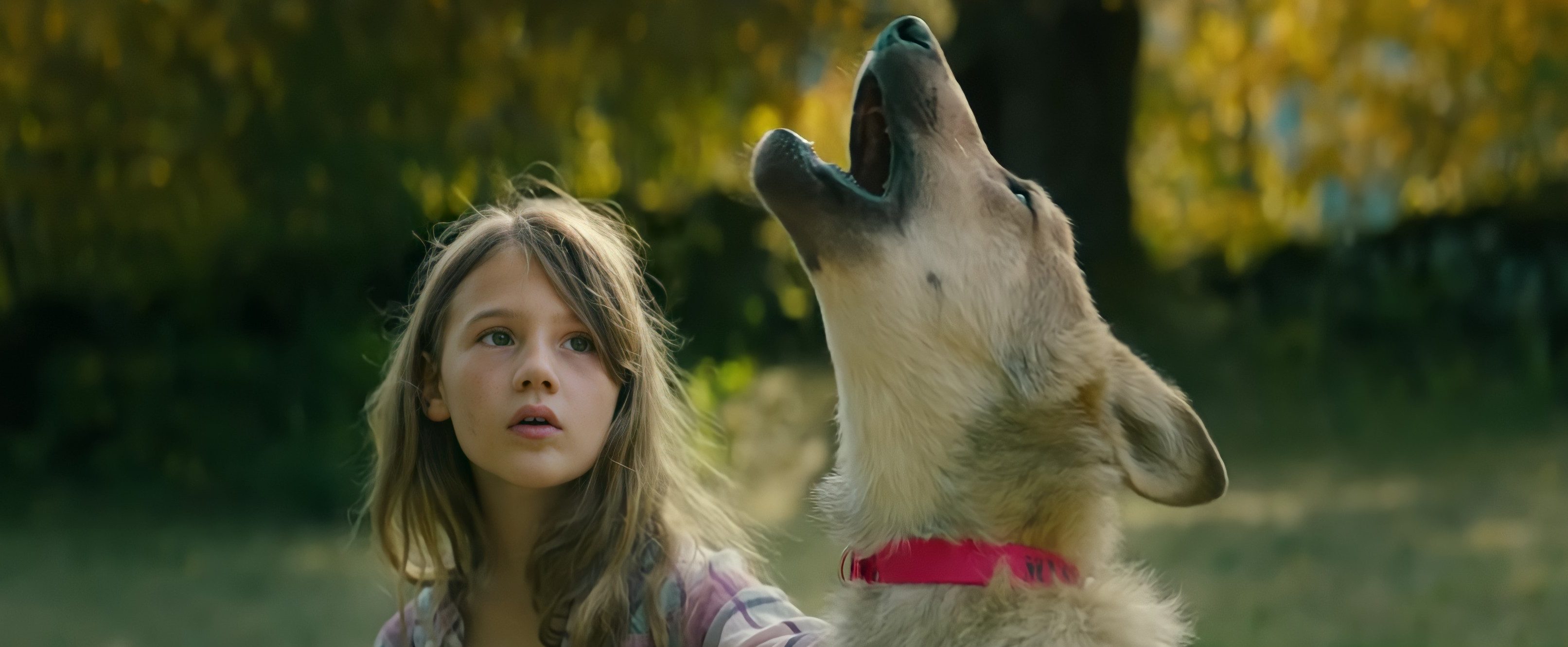 Vicky and Her Mystery Ending, Explained: Do Victoria and Mystery End Up