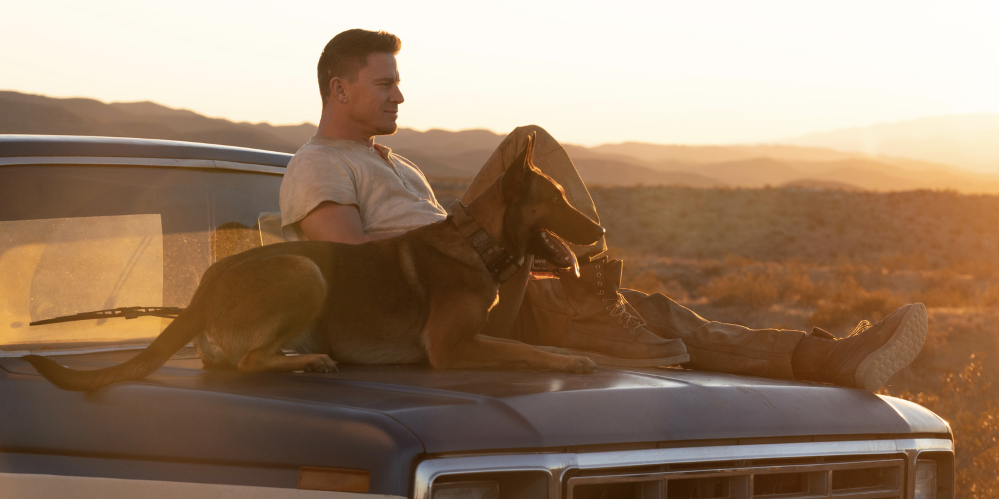 Where Was Dog Filmed? 2022 Movie Filming Locations