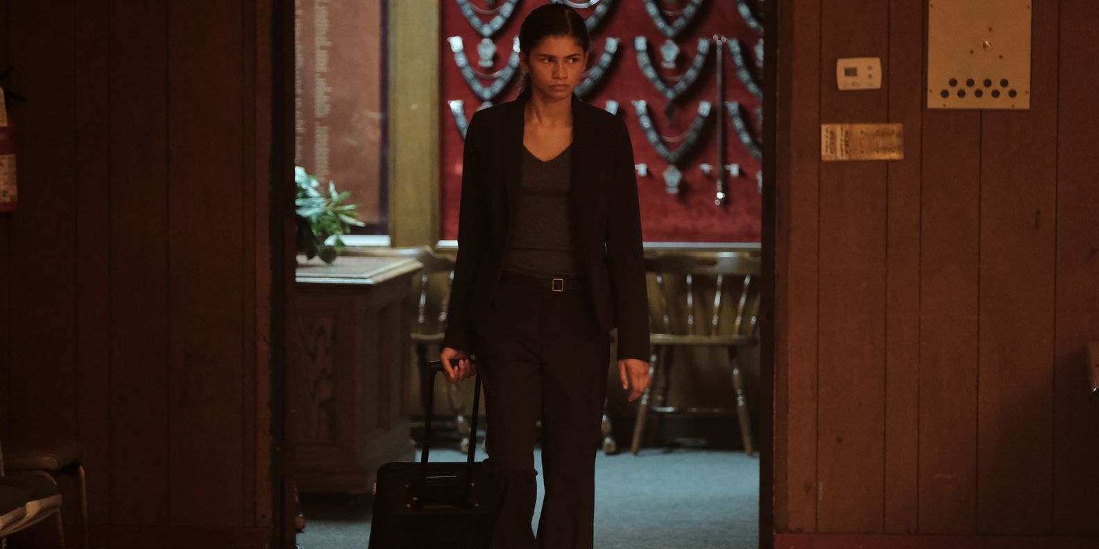 What Is in Rue's Suitcase in Euphoria? Where Is The Suitcase Now?