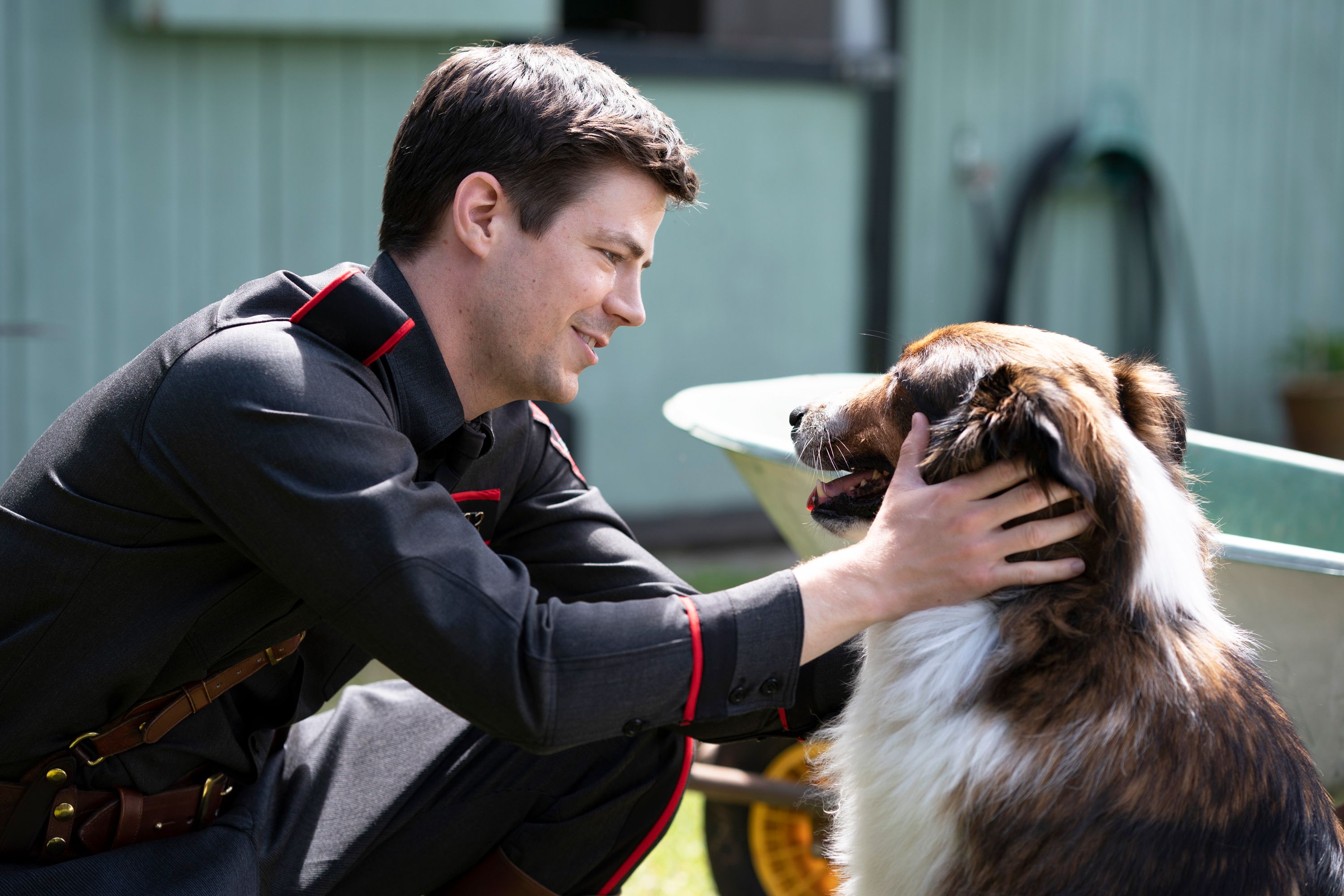 13 Best Dog Movies on Netflix (March 2024)