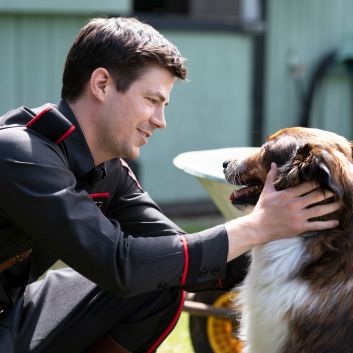 11 Best Dog Movies on Netflix Right Now