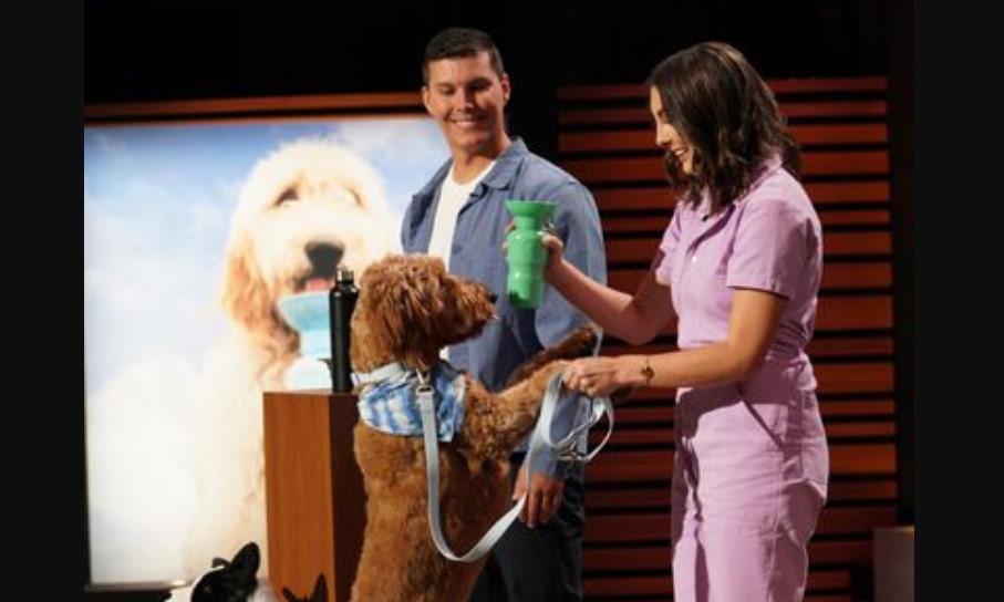 Springer Dog Bottles Shark Tank Update Where Is Springer Today?