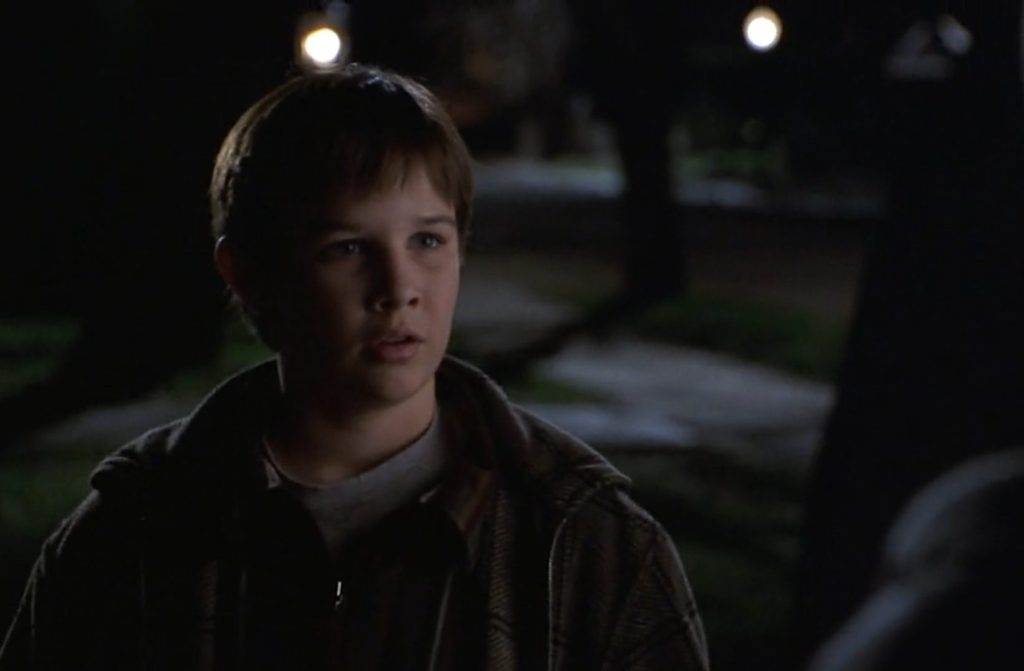 Who Kidnapped Ben In The Deep End Of The Ocean Who Kidnaps Beth Cappadora's Son Ben in The Deep End of the Ocean?