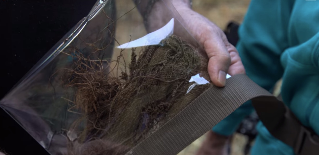 Was DB Cooper's Parachute Found? What Happened to it?