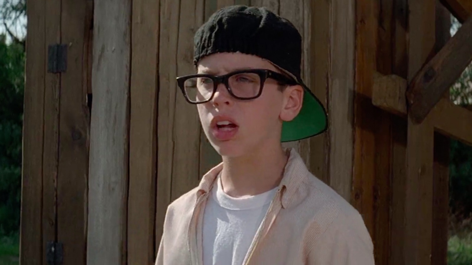 Is The Sandlot a True Story? Is the 1993 Movie Based on Real Life?