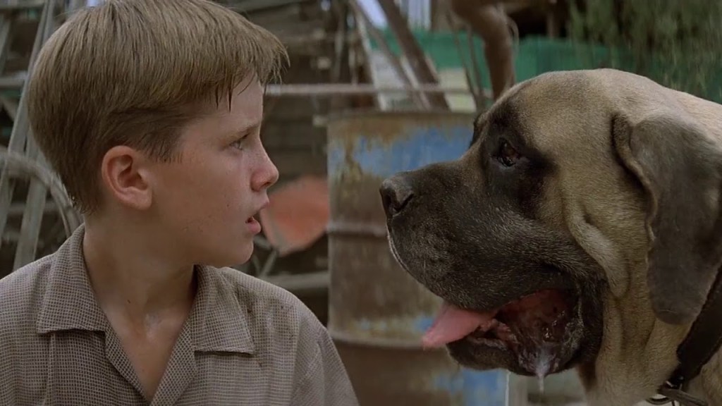 Is The Sandlot a True Story? Is the 1993 Movie Based on Real Life?