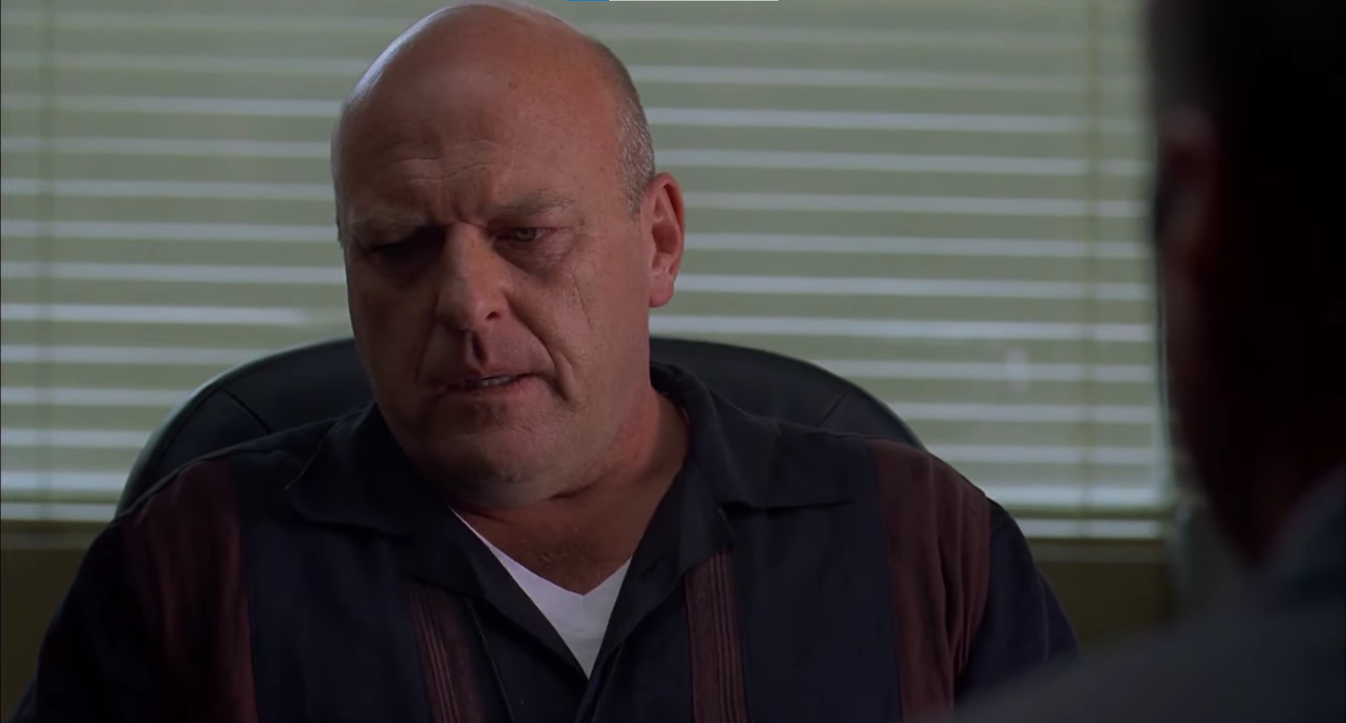 Hank Schrader’s Breaking Bad Death: How Did He Die? Who Killed Him?