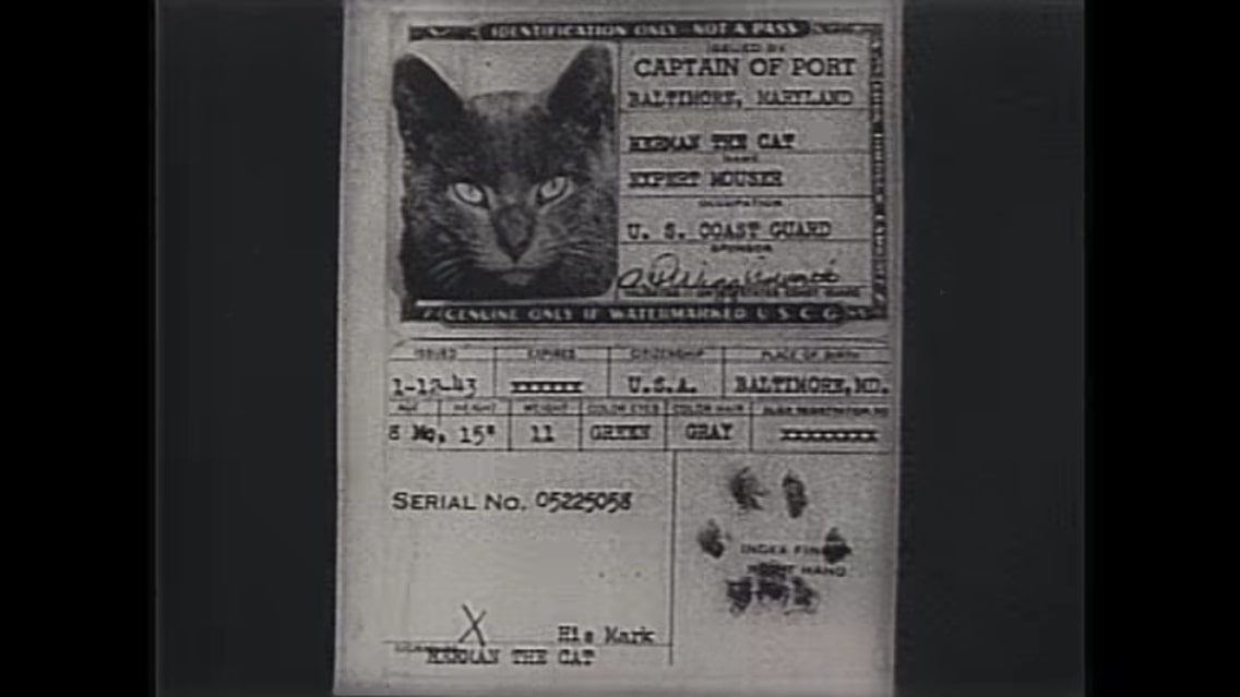 Was There Really a Cat Named Herman in the US Coast Guard?