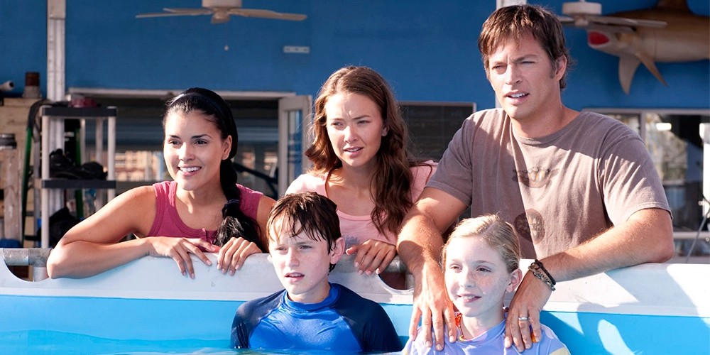 Is Dolphin Tale Based on a True Story?