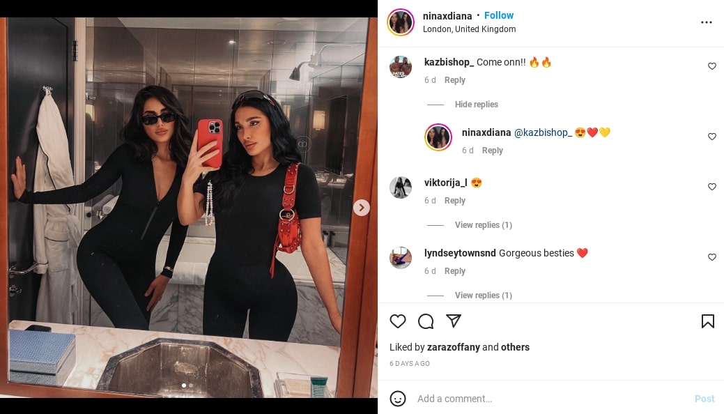 Are Diana Parsijani and Kaz Still Together? Dated and Related Update