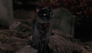 What Happened to Binx the Cat in Hocus Pocus?