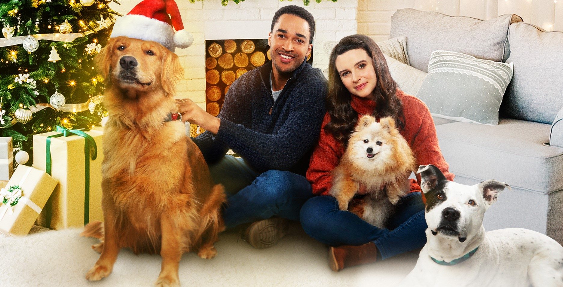 Lifetime's The Dog Days of Christmas All Shooting Locations and Cast