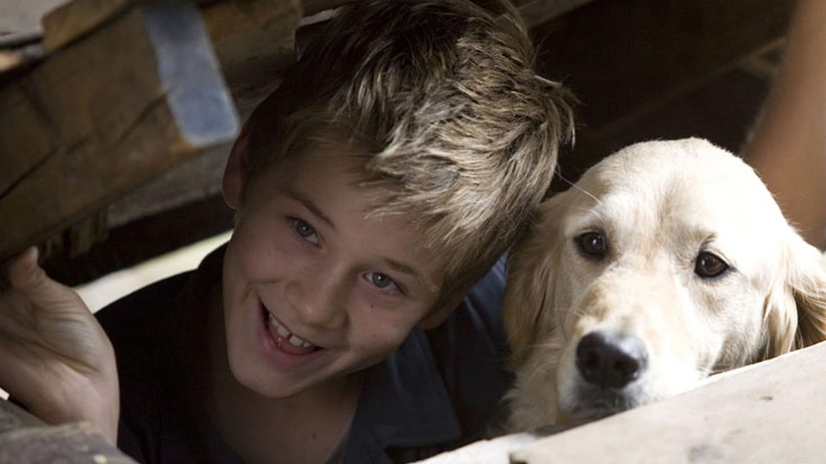 8 Movies Like Dog Gone You Must See The Cinemaholic