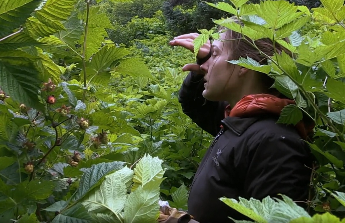 Race to Survive Alaska Is the Netflix Show Real or Fake?