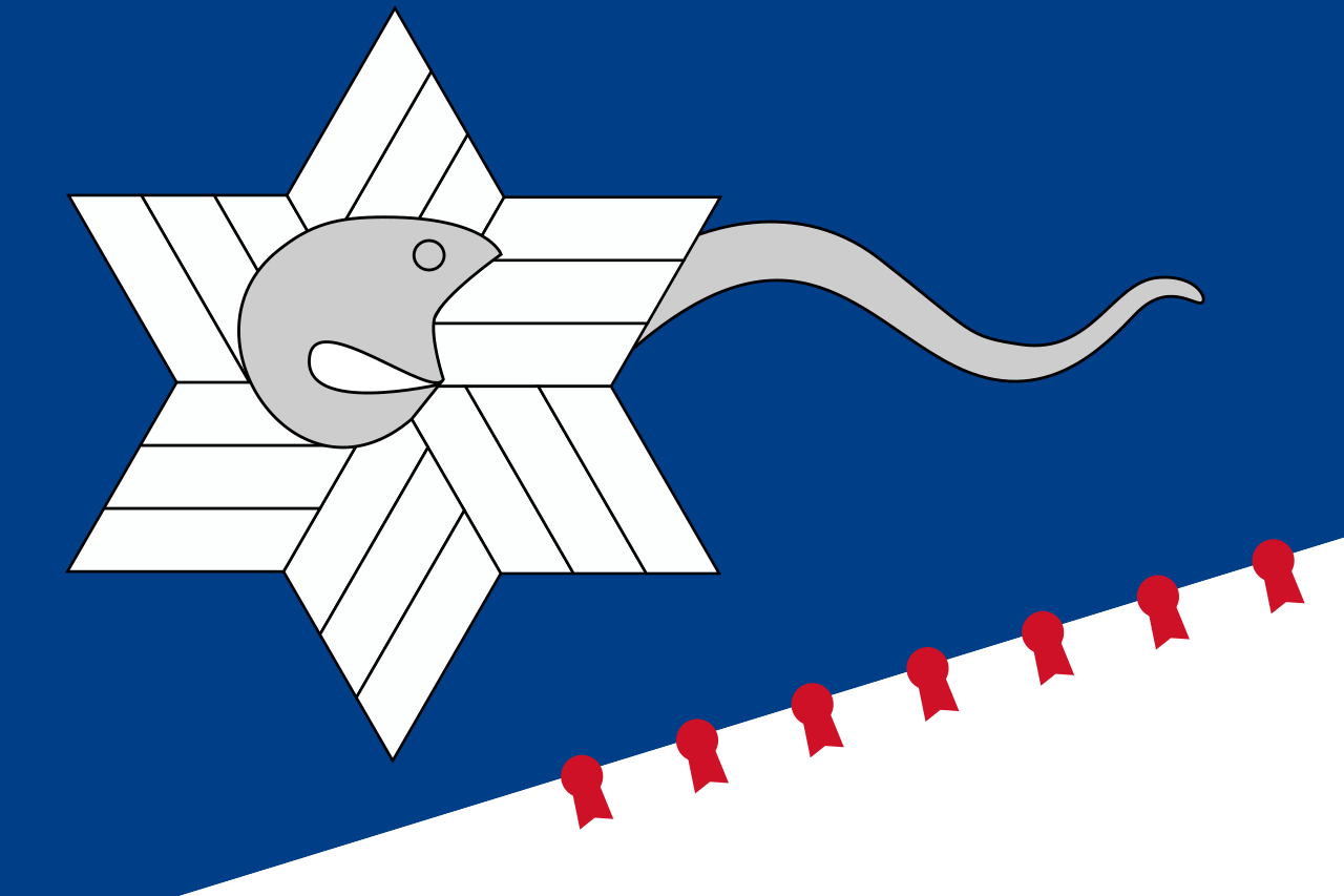 what-is-the-meaning-of-the-branch-davidian-flag