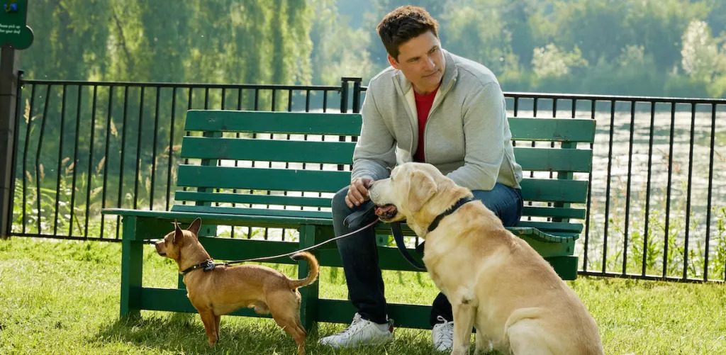 Hallmark's The More Love Grows All Shooting Locations and Cast Details