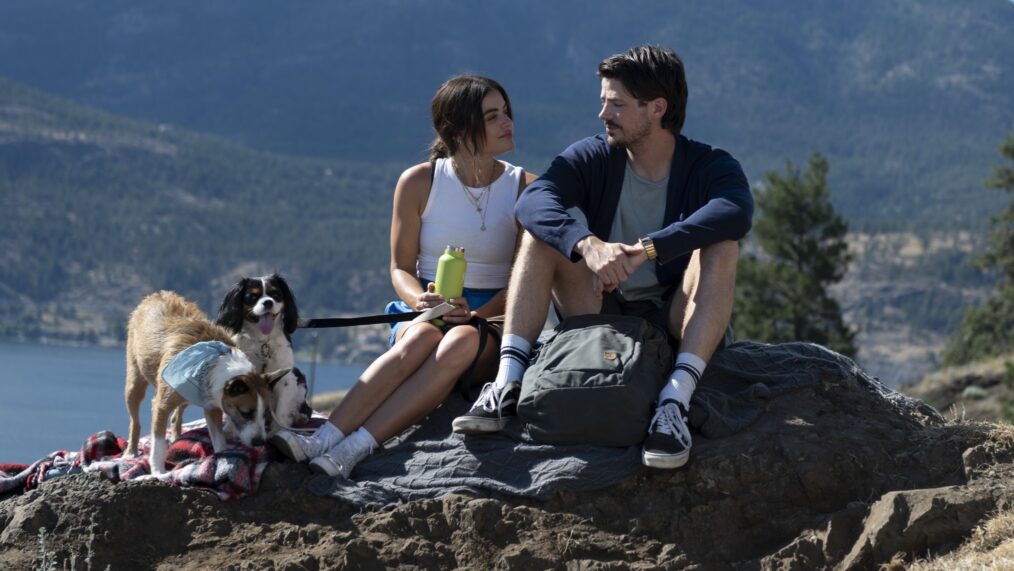 Puppy Love: Here Are 8 Similar Movies You Must Watch Next