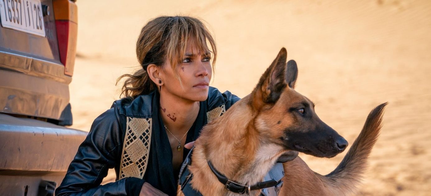 Halle Berry: All Upcoming Movies and TV Shows in 2024 and 2025