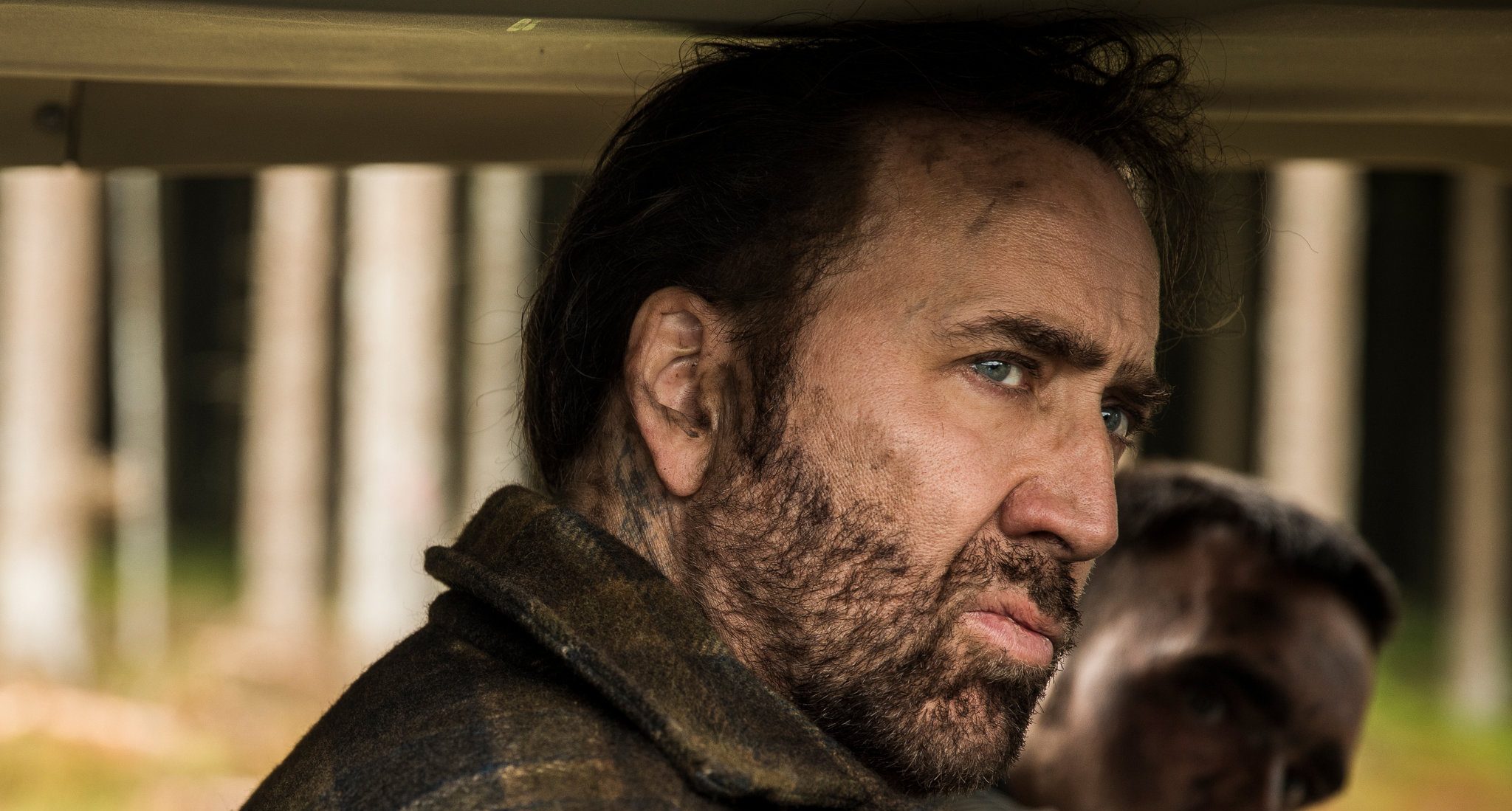 Nicolas Cage New Movies and TV Shows in 2024 and 2025