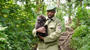 18 Best Animal Documentaries on Netflix (September 2026)