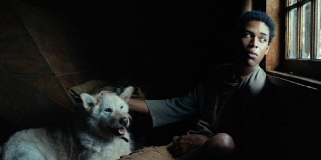 Does The Dog Die In It Comes At Night