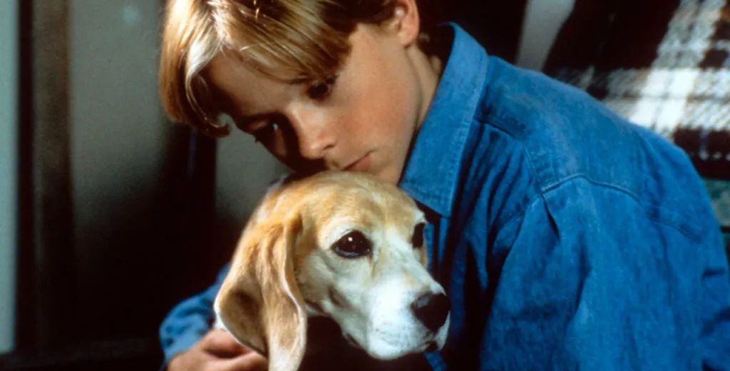 10 Best Kids Movies on Peacock Right Now