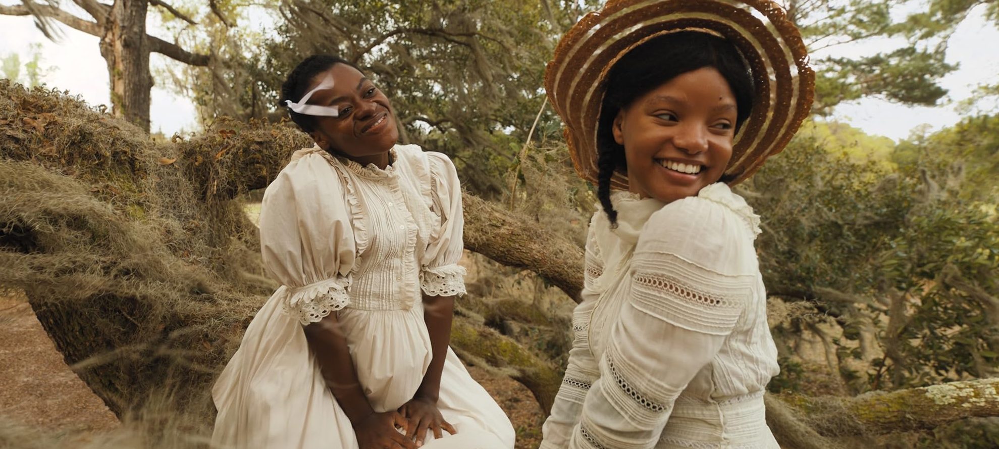 The Color Purple: Are Celie and Nettie Inspired by Real Sisters?