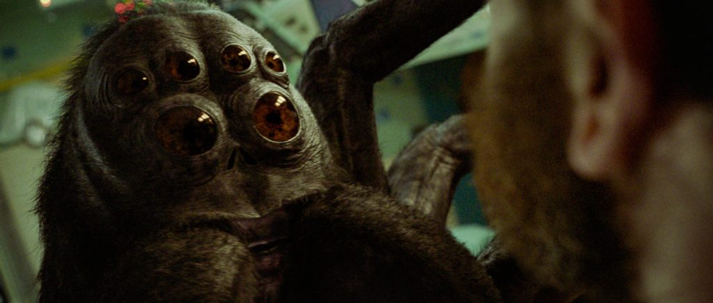 How Old is Hanuš the Spider? How Does it Get into the Spaceship?