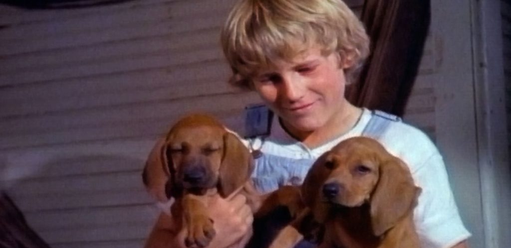 8 Best Kids Movies on Peacock Right Now