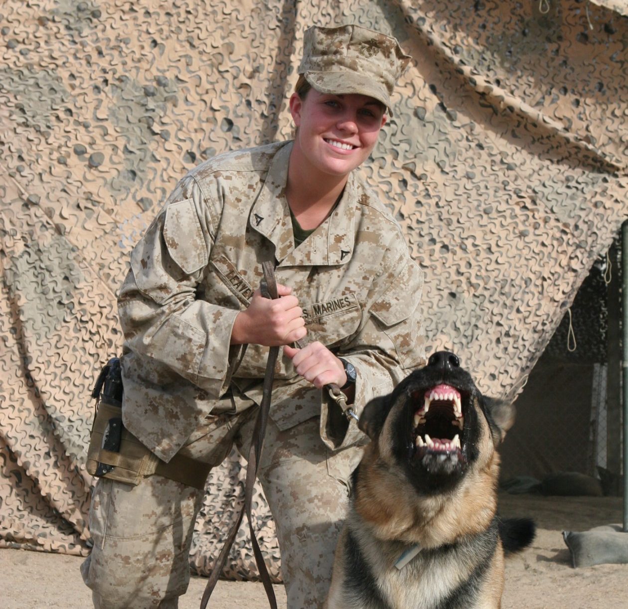 How Did Megan Leavey's Dog Rex Die?