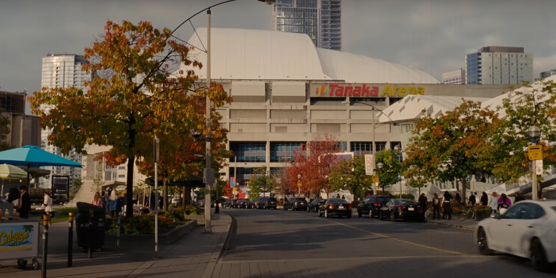 Trap: Is Tanaka Arena a Real Stadium?