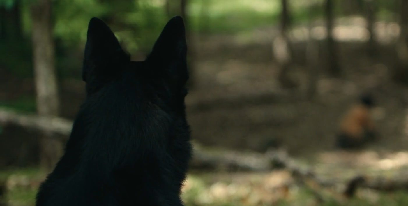 Does the Dog Die in Teacup?