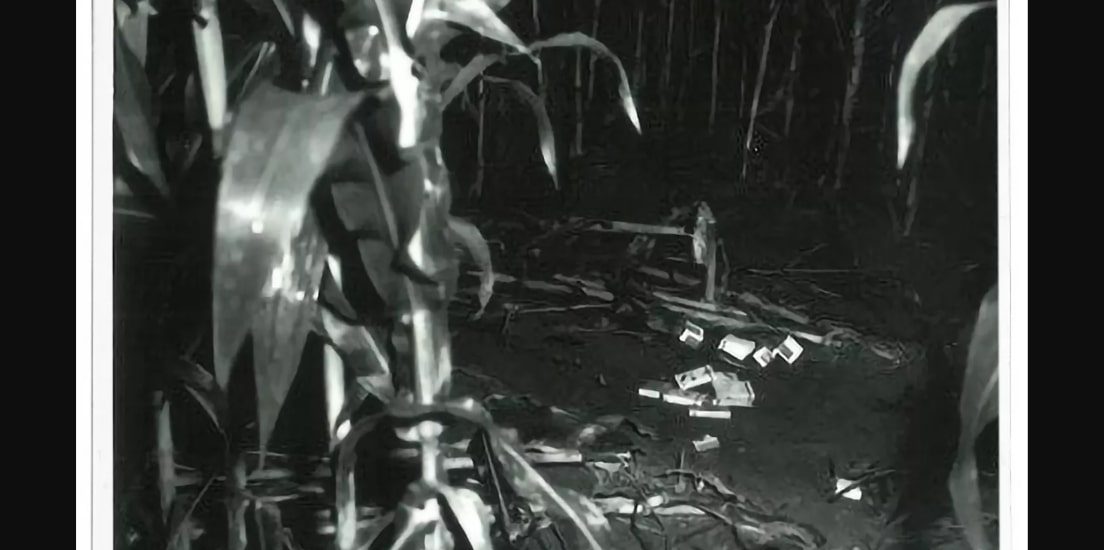 Thomas Edward Williams: What Happened to the Indiana Slasher?